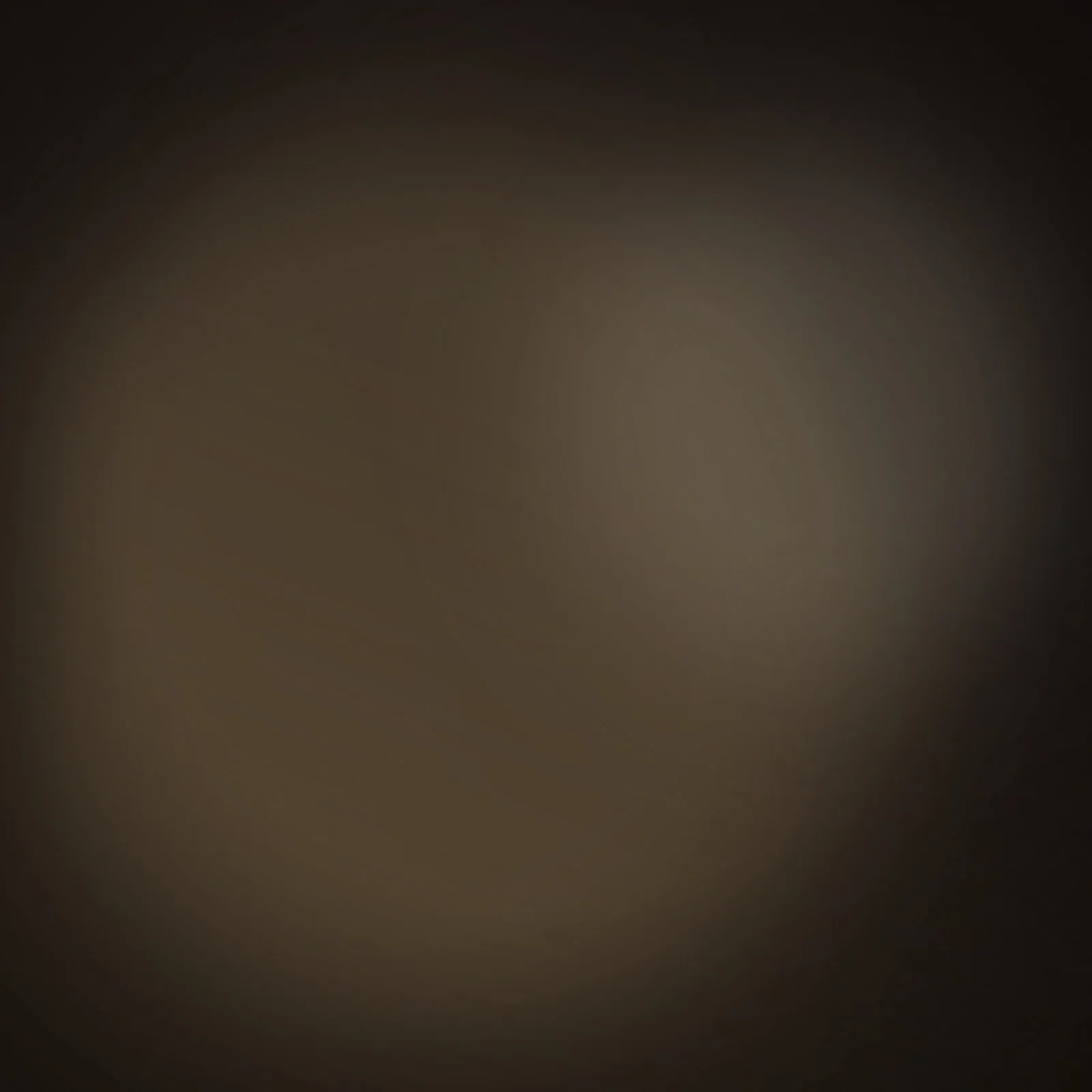 Placeholder — abstract warm haze standing in for crowd atmosphere